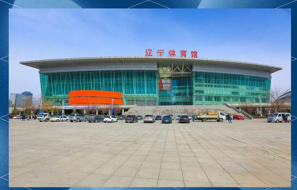 世界杯官方观看app-沈阳再迎国际赛事！